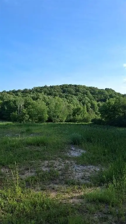 Picture 12