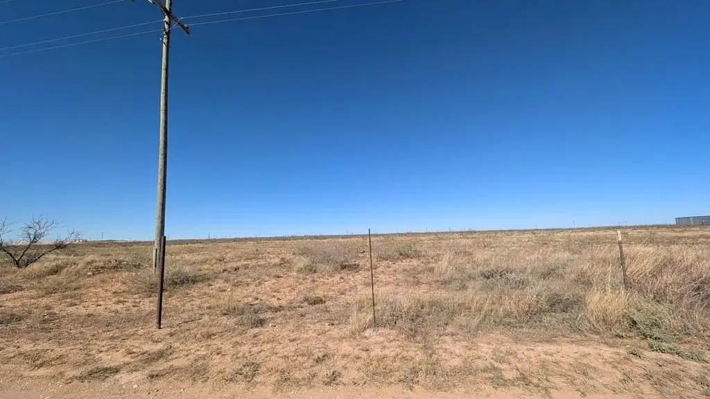 Picture 6