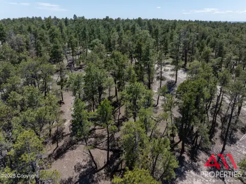 Moorcroft, WY Wooded Land Parcel