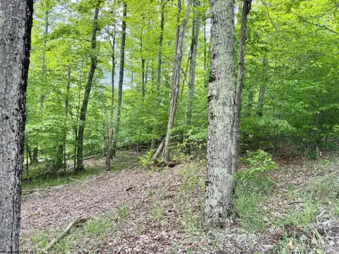 Davis, WV Residential Land