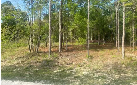 Serene Weeki Wachee Vacant Land