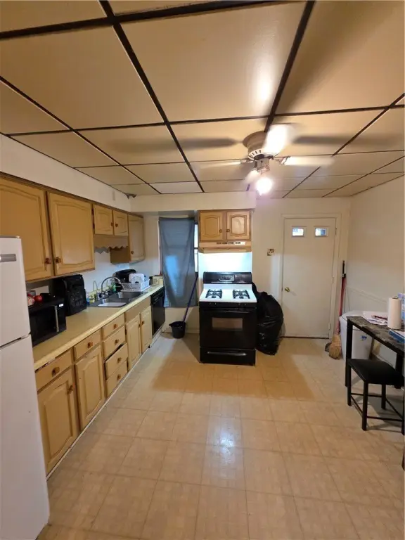 Picture 6