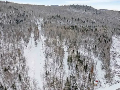 Recreational Land with Skiing Potential