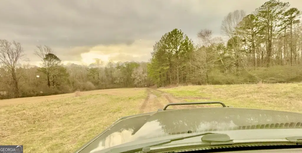 Picture 7
