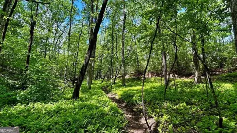 Ellijay Homesite with Mountain Views