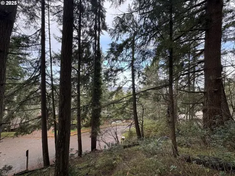 South Eugene Lot with Views