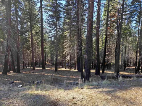 Lake Almanor West Residential Lot