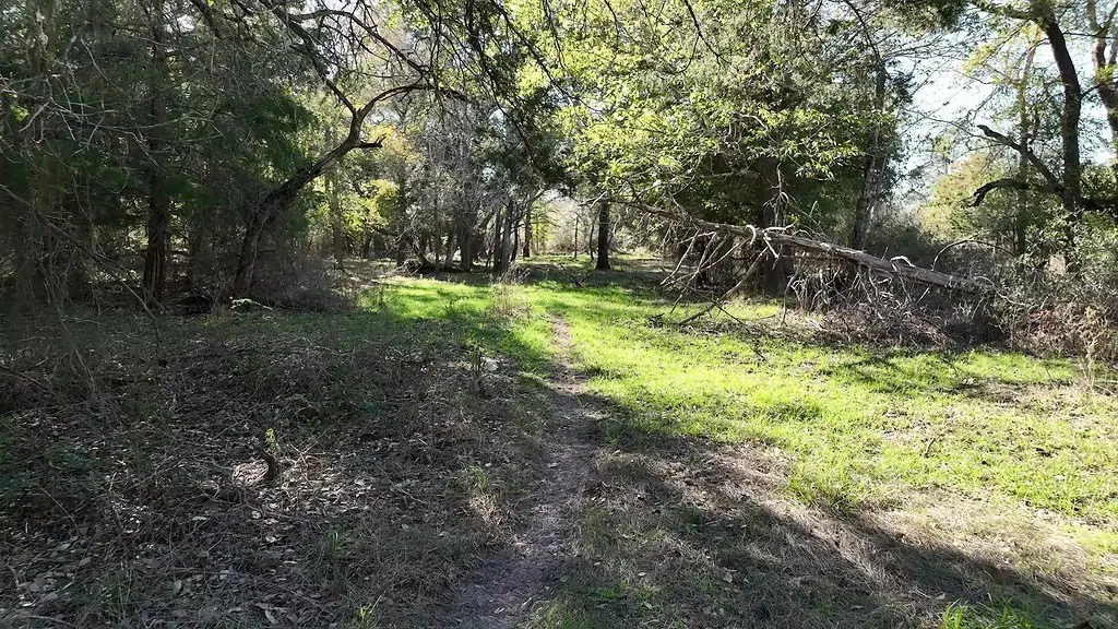 Picture 12