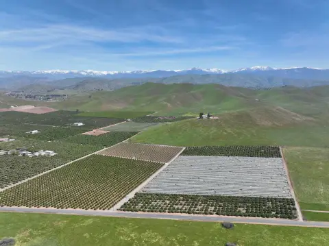 Income-Producing Citrus Ranch in Exeter