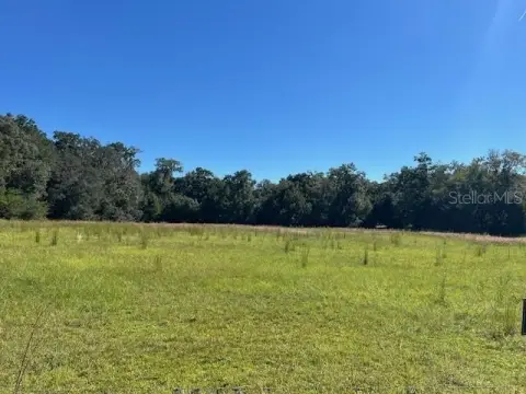 19 Acres Vacant Land, Citra