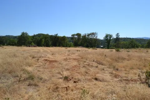 Land Near Merlin, Oregon