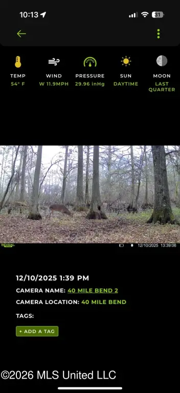 Picture 14
