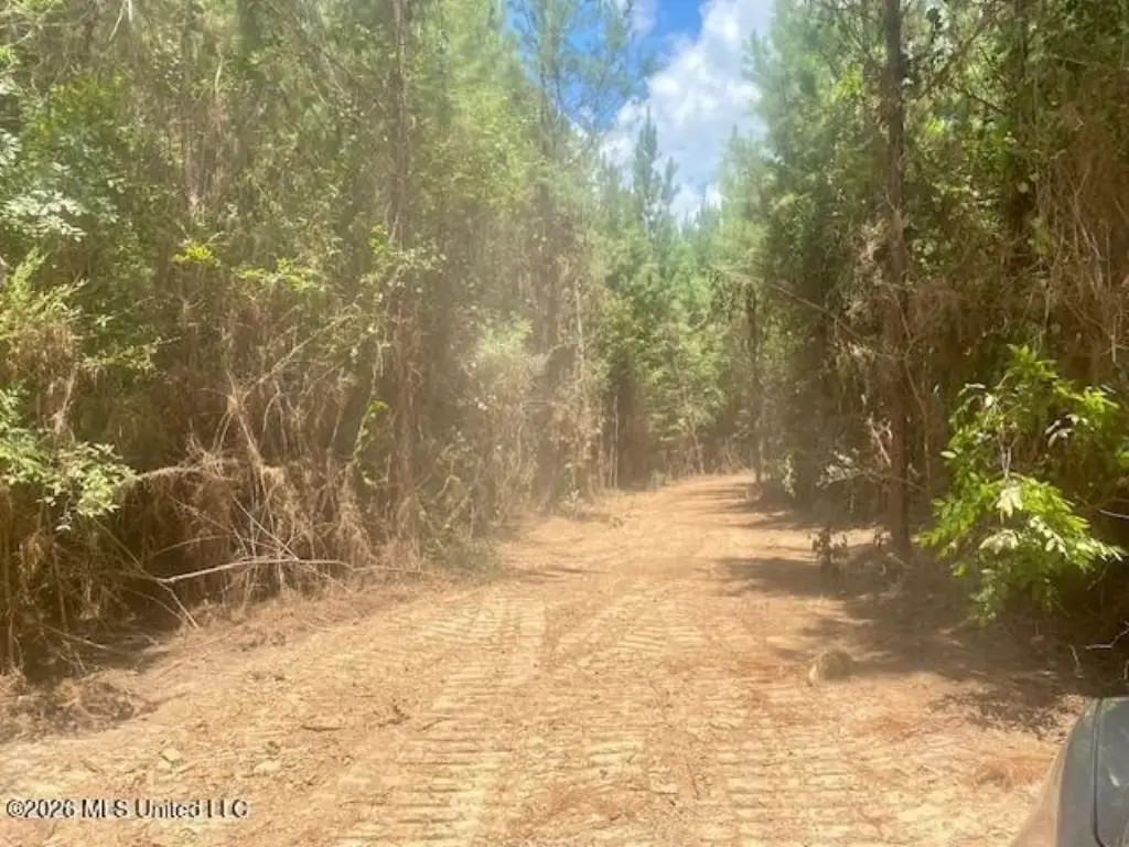 Picture 4