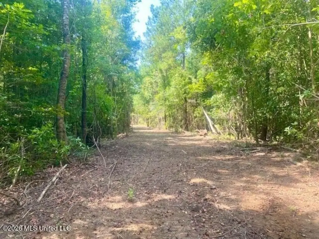 Picture 15