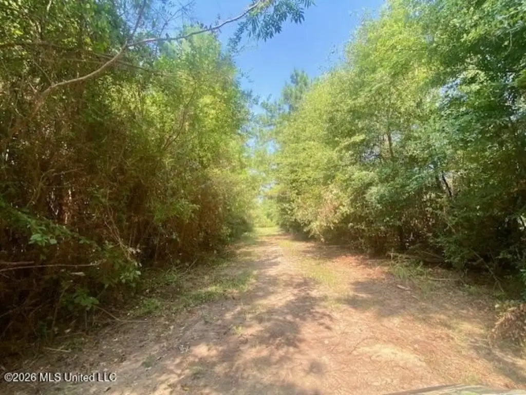 Picture 10