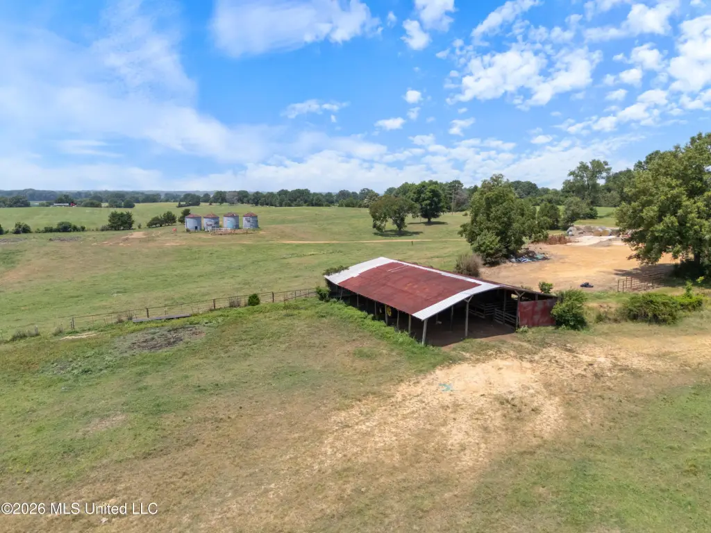 Picture 56