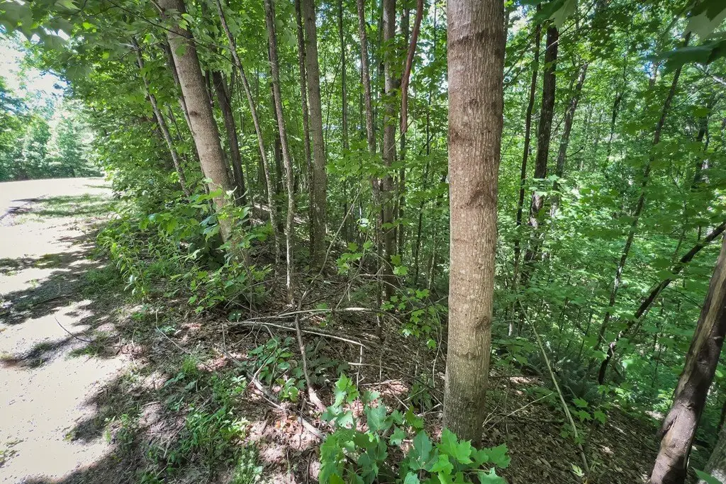 Picture 14