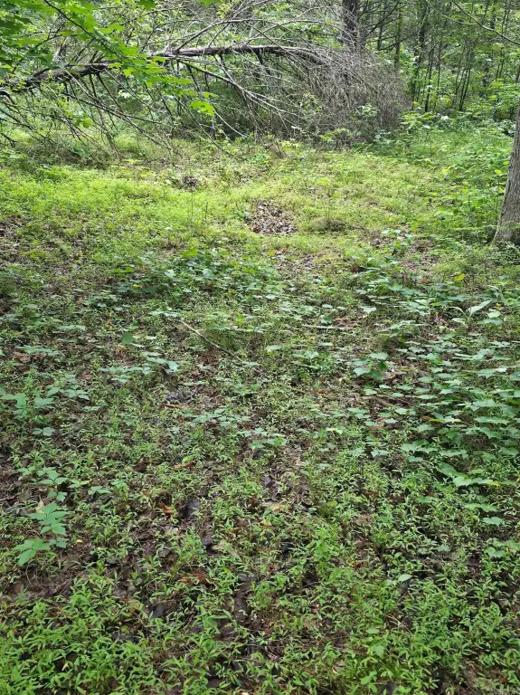 Picture 19