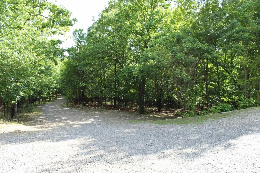 Picture 23