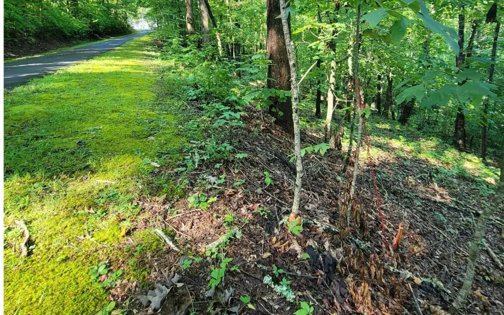 Picture 7