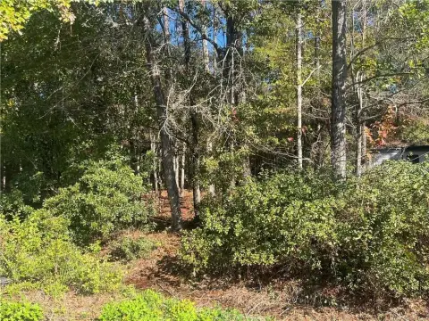 Residential Land in Coden, Alabama
