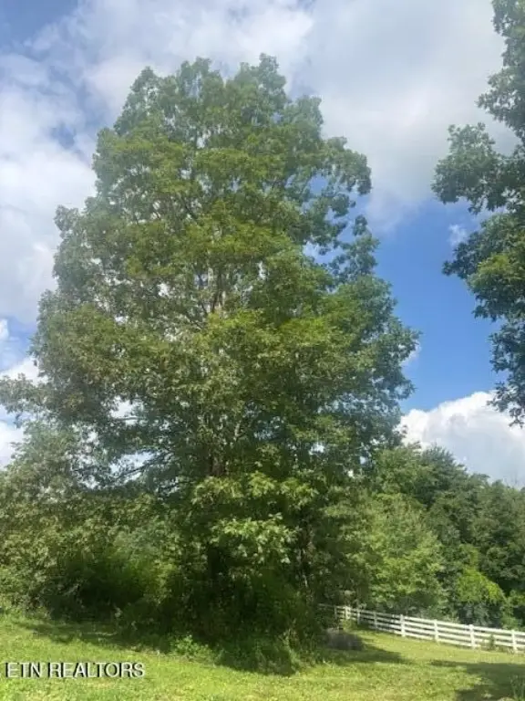 Picture 33