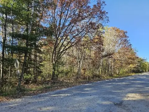 Wooded Land Near State Land