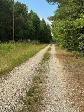 Wooded Agricultural Land