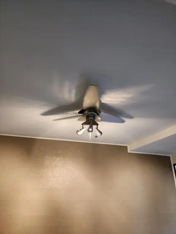 Picture 43
