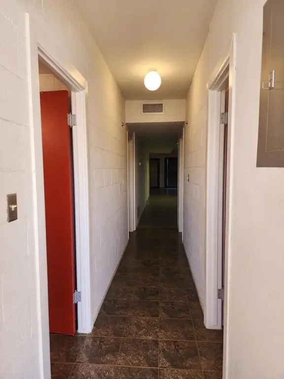 Picture 41
