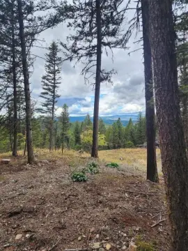 Seeley Lake Land with Creek
