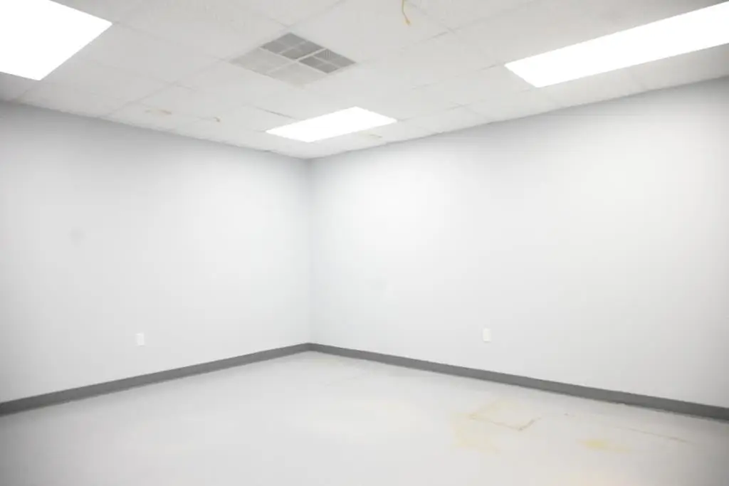 Picture 45