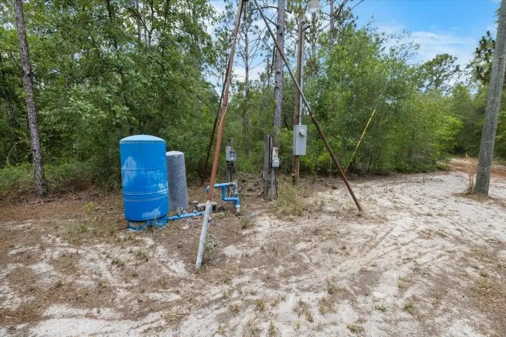 Picture 29