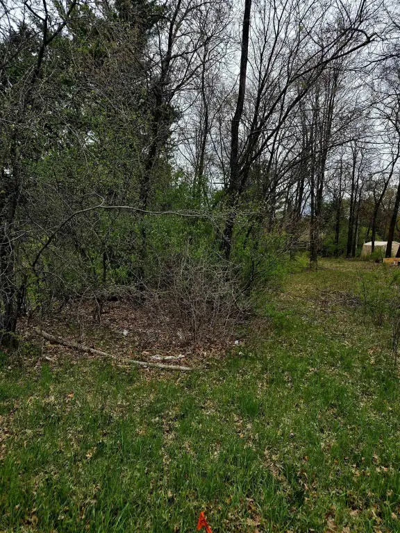 Picture 3