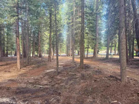 Lake Almanor West Residential Lot