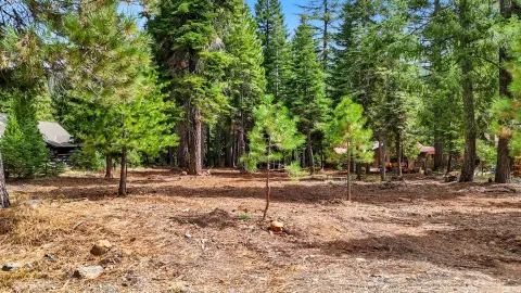 Riverfront Lot in Lake Almanor