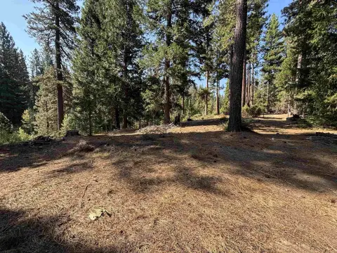 Residential Lot in Blairsden, CA