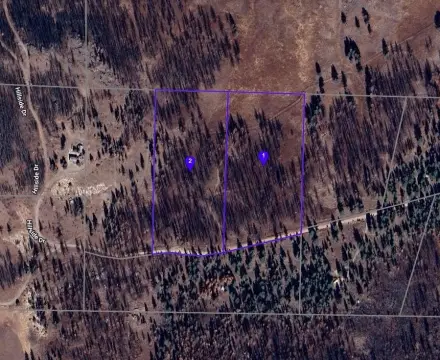 Doyle, CA Agricultural Land