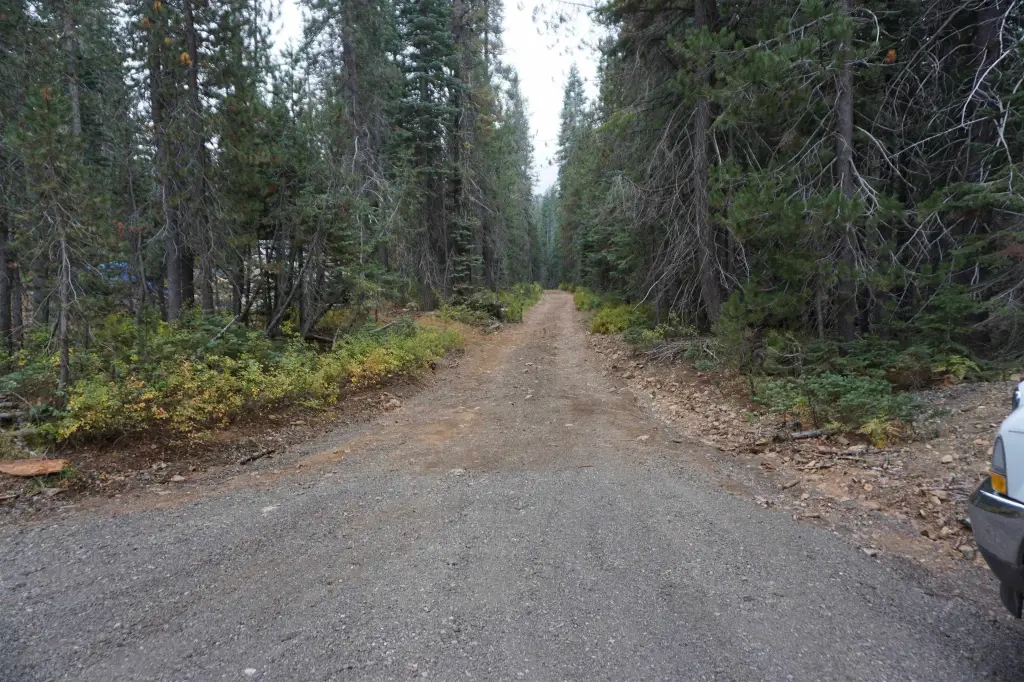 Picture 23