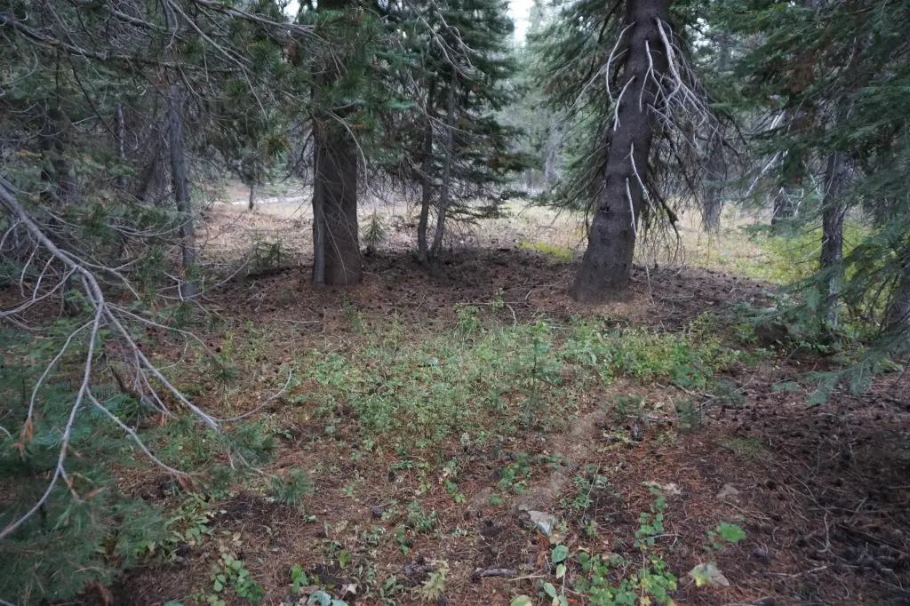 Picture 7