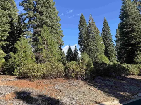 Lake Almanor Residential Lot