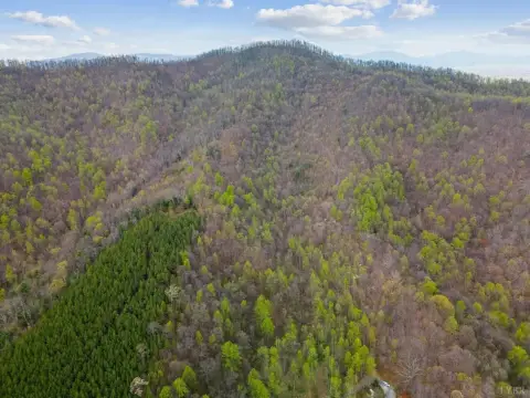 69 Acres of Wooded Mountain Land