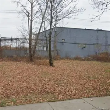 Detroit Vacant Land Investment Opportunity