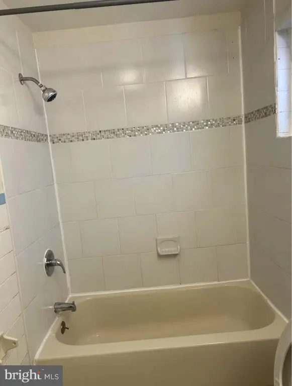 Picture 24