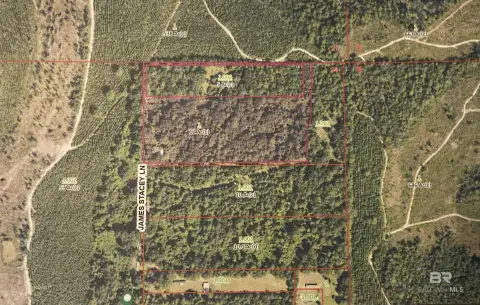 12 Acres with Hardwood Trees