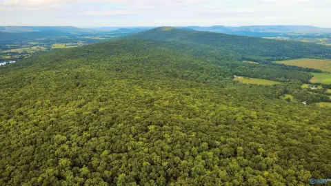 80 Acres Hunting and Recreation