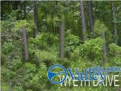 Guntersville, AL Land Lot