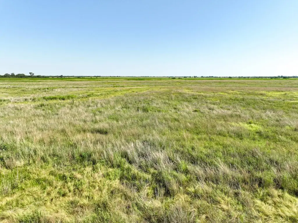 Picture 27