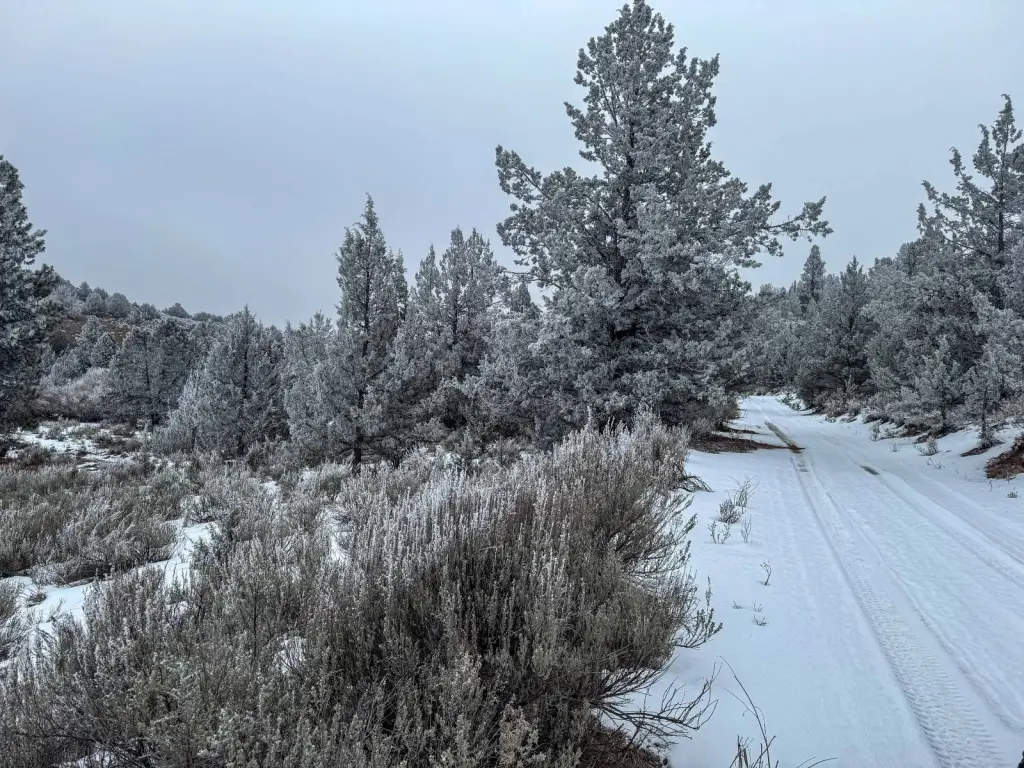 Picture 9