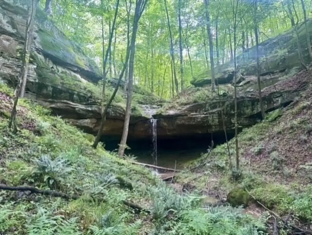 Picture 13